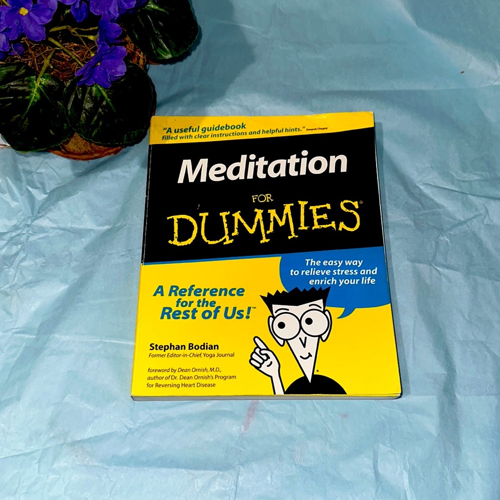 BOOK 📖 | MEDITATION FOR DUMMIES